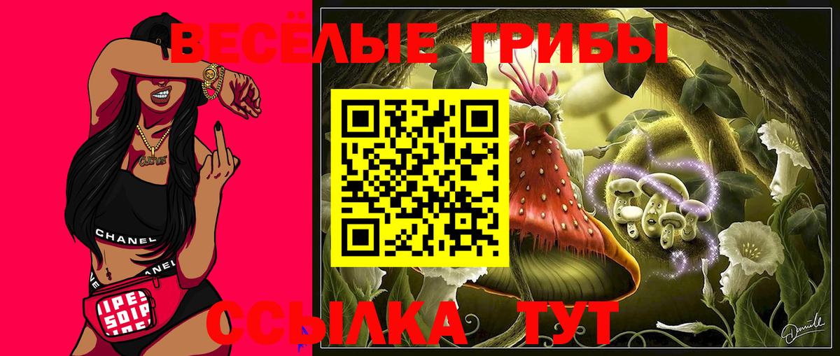 купить наркотики цена  Вход с VPN  Тихвин  Галлюциногенные грибы Cubensis  Псилоцибиновые грибы мухоморы 